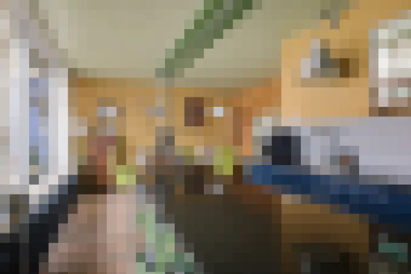 Oosterse Es 41 Appelscha thumbnail 21