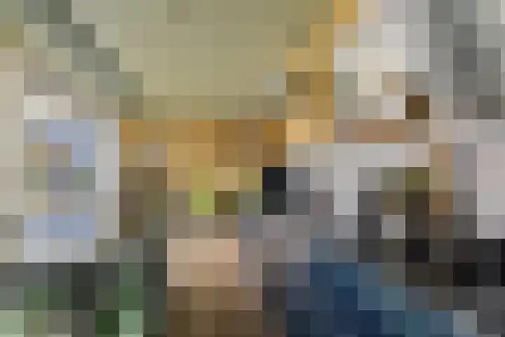 Oosterse Es 41 Appelscha thumbnail 22