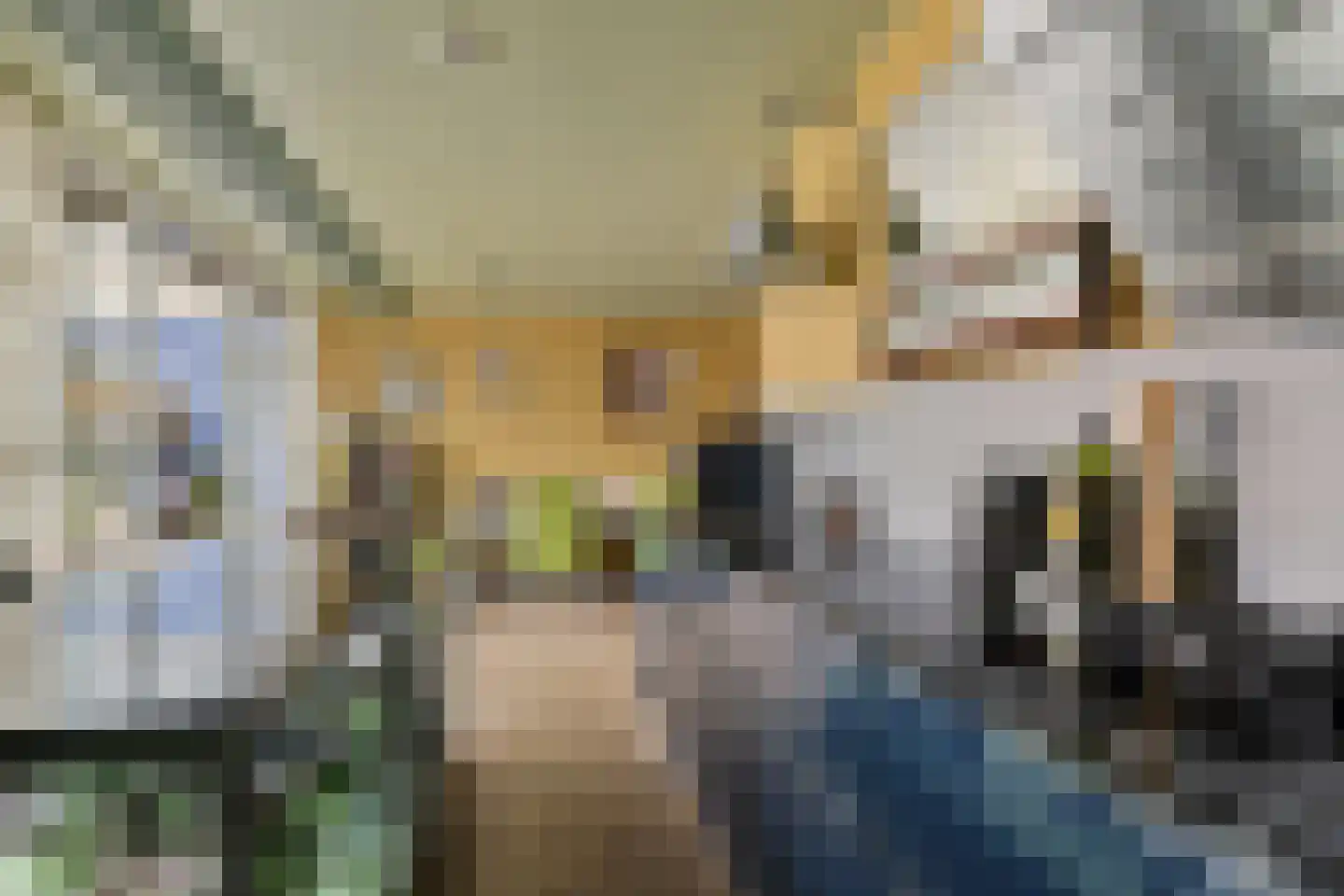 Oosterse Es 41 Appelscha thumbnail 22