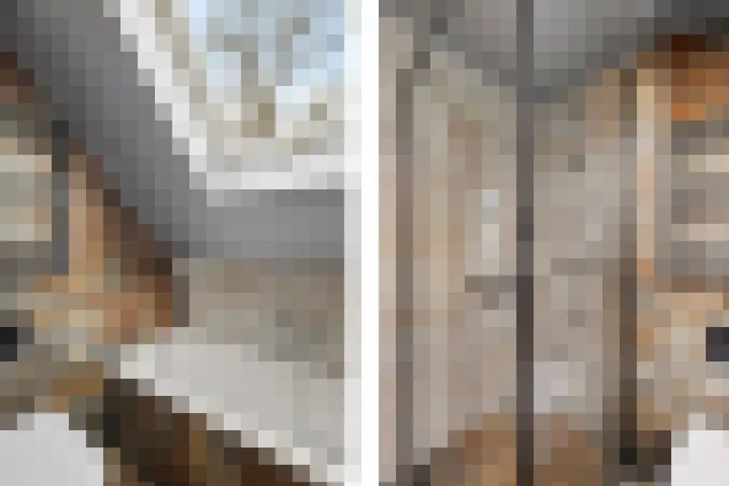 Oosterse Es 41 Appelscha thumbnail 24