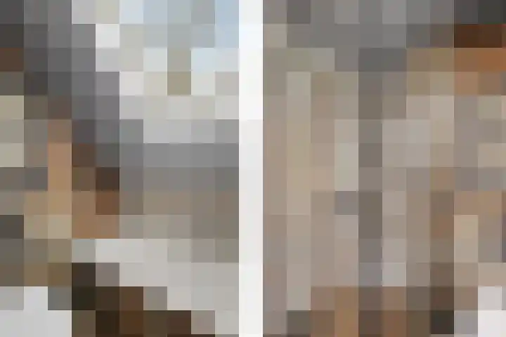 Oosterse Es 41 Appelscha thumbnail 24