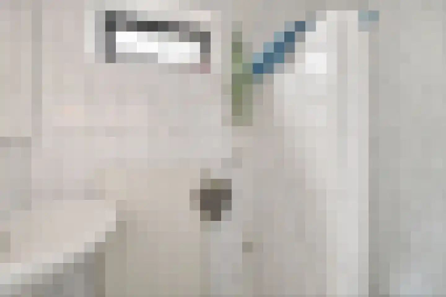 Oosterse Es 41 Appelscha thumbnail 26