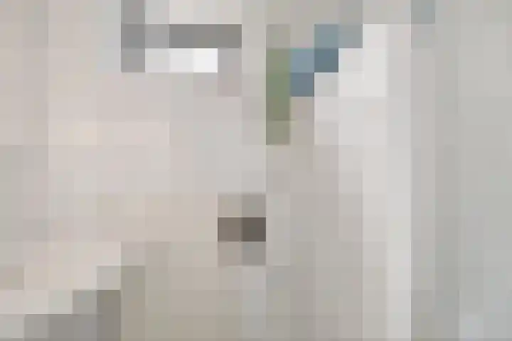 Oosterse Es 41 Appelscha thumbnail 26
