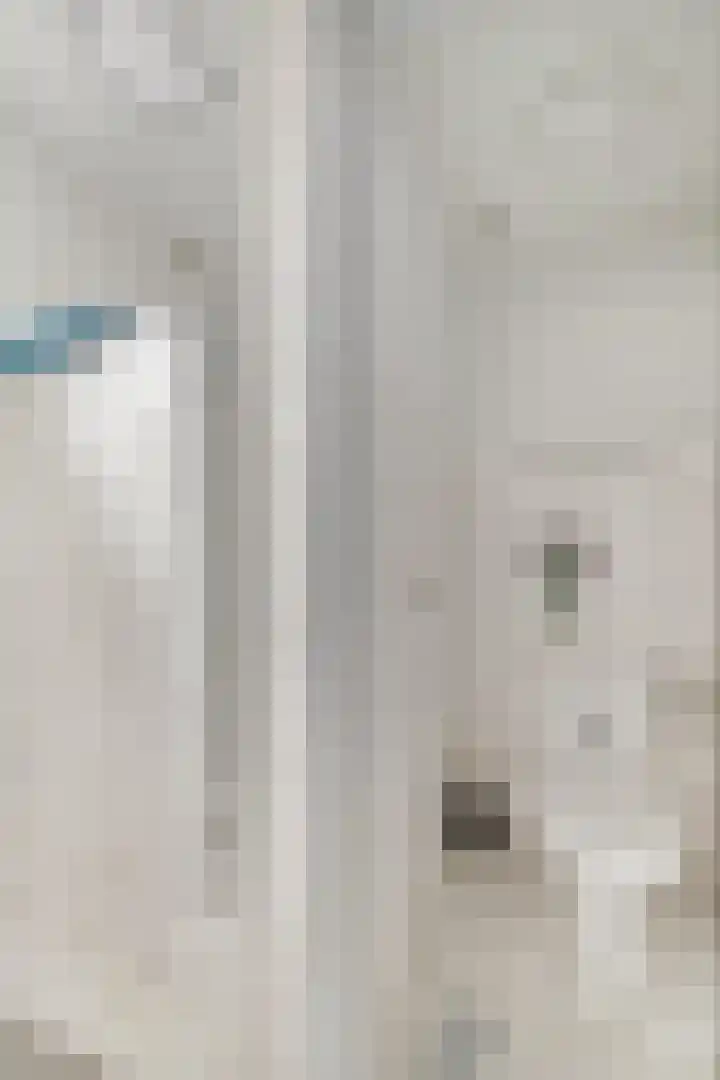 Oosterse Es 41 Appelscha thumbnail 27