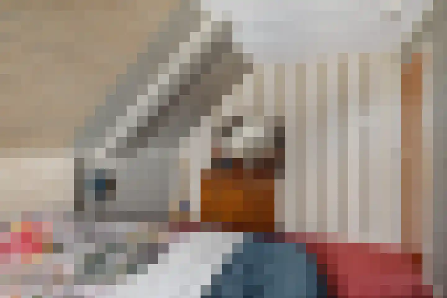 Oosterse Es 41 Appelscha thumbnail 29