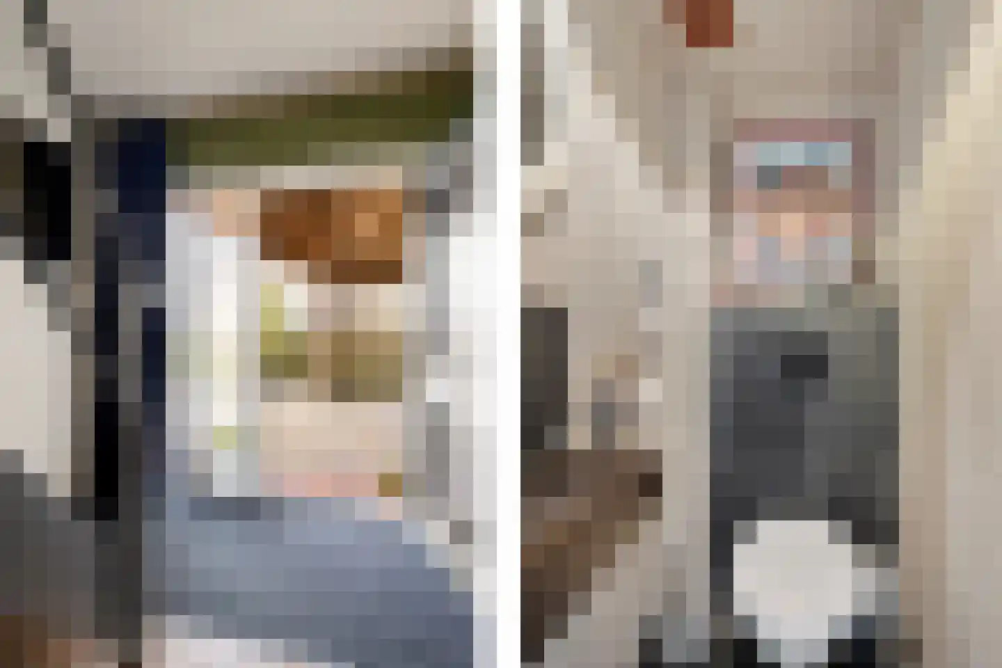 Oosterse Es 41 Appelscha foto 3