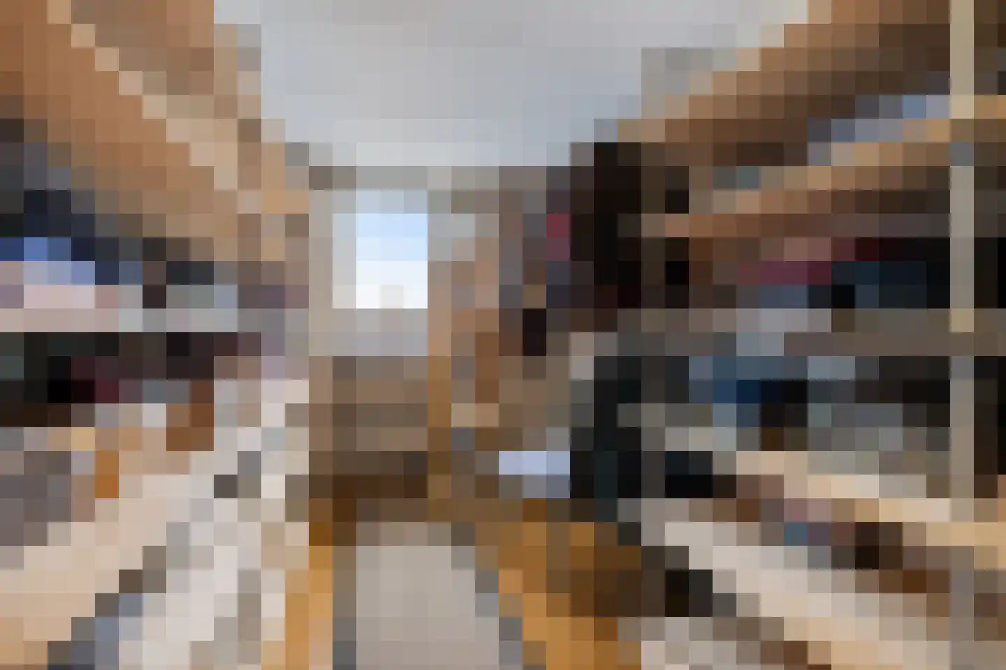 Oosterse Es 41 Appelscha thumbnail 31
