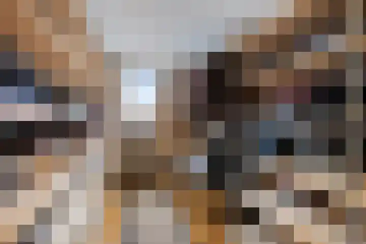 Oosterse Es 41 Appelscha thumbnail 31