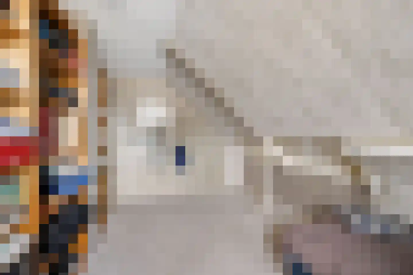 Oosterse Es 41 Appelscha thumbnail 33