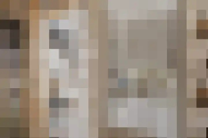 Oosterse Es 41 Appelscha thumbnail 34