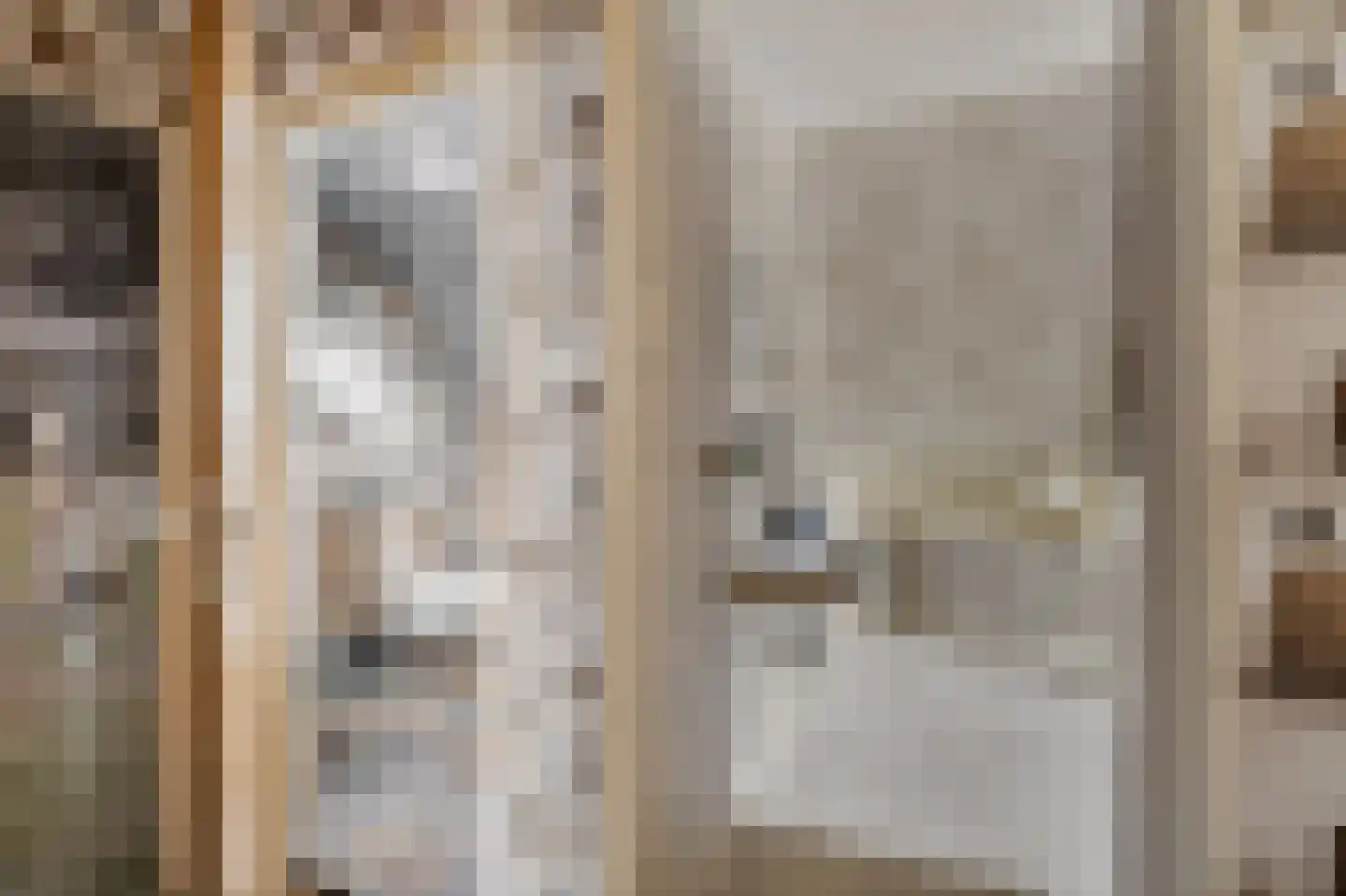 Oosterse Es 41 Appelscha thumbnail 34