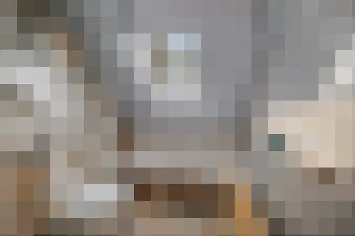 Oosterse Es 41 Appelscha thumbnail 35