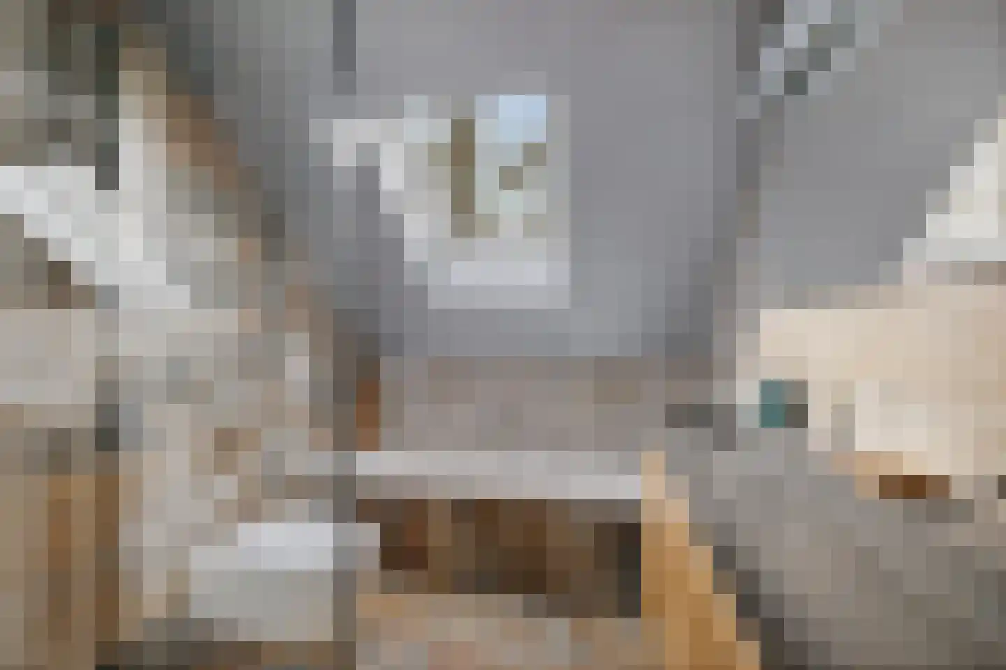 Oosterse Es 41 Appelscha thumbnail 35