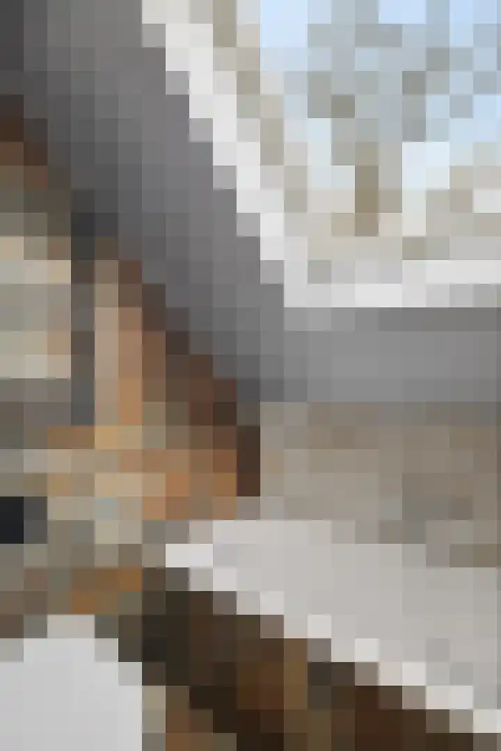 Oosterse Es 41 Appelscha thumbnail 36