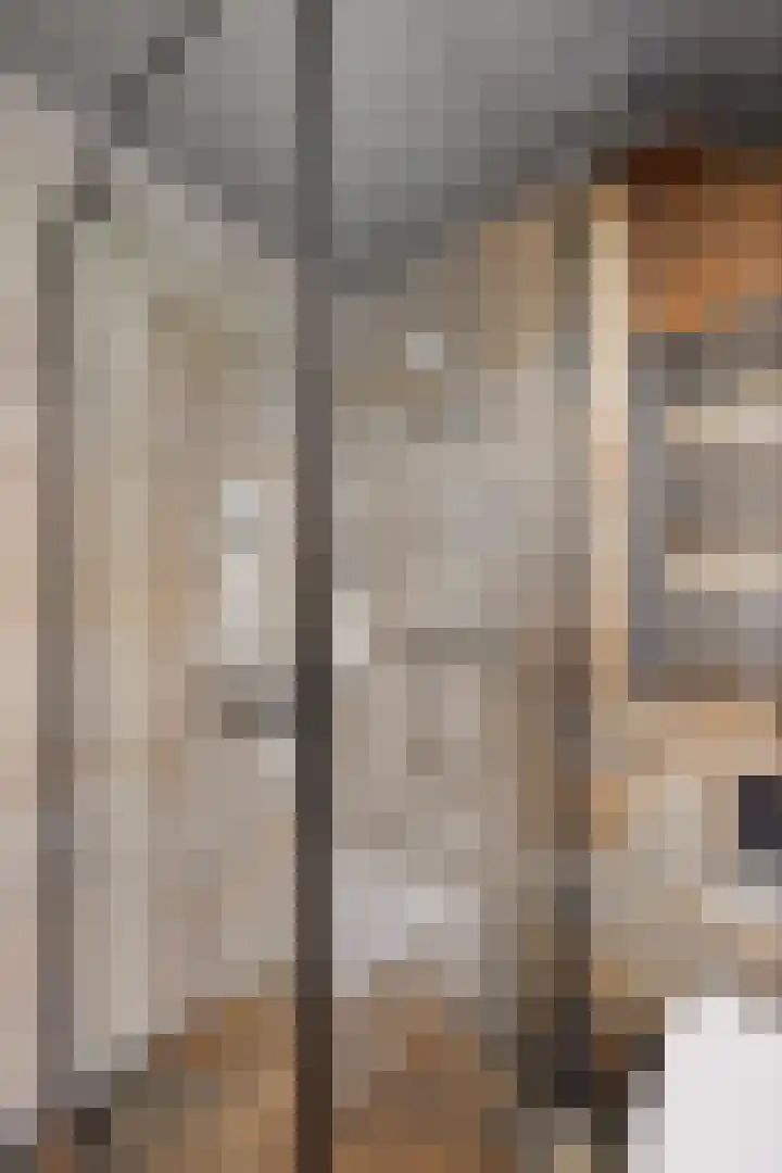Oosterse Es 41 Appelscha thumbnail 37
