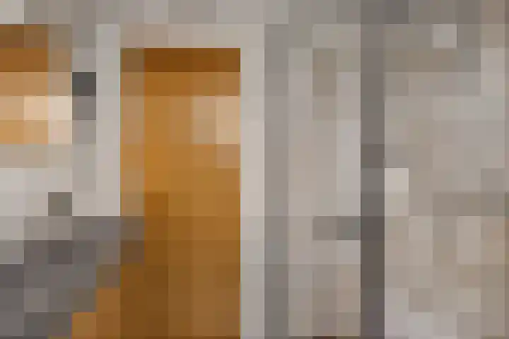 Oosterse Es 41 Appelscha thumbnail 38