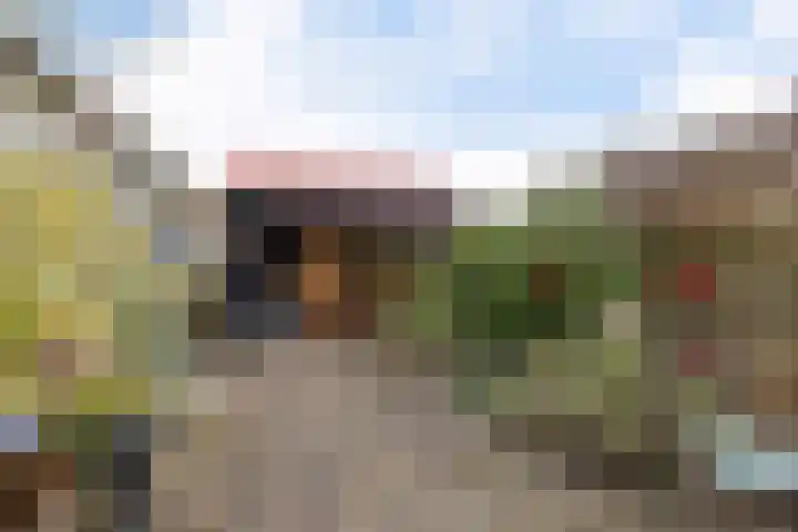 Oosterse Es 41 Appelscha thumbnail 39