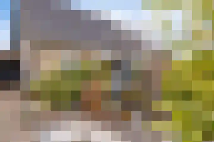 Oosterse Es 41 Appelscha thumbnail 4