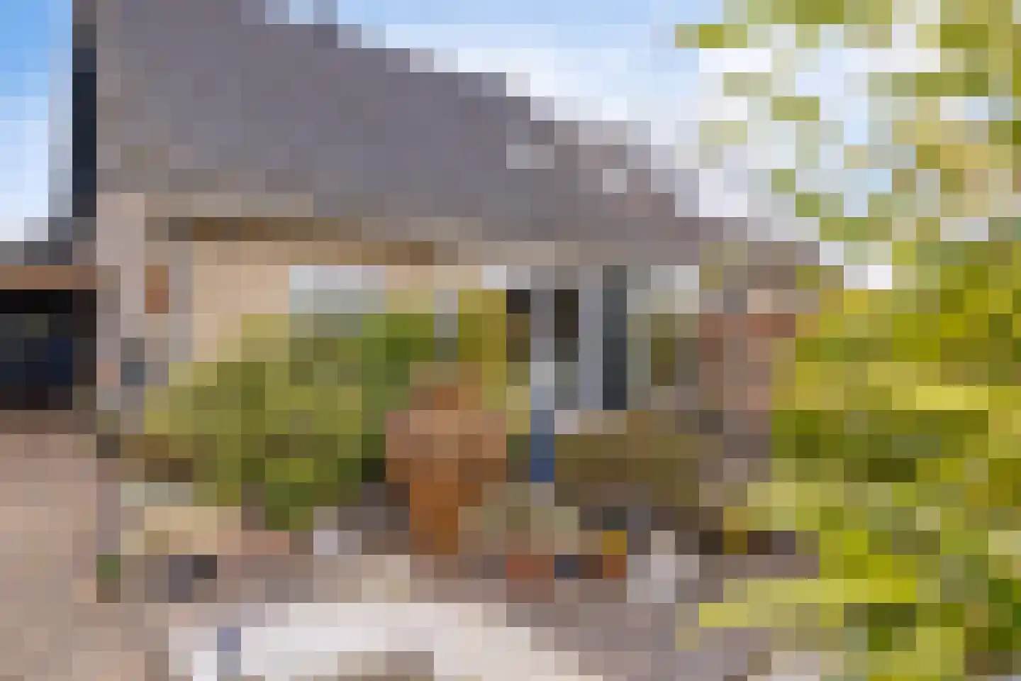 Oosterse Es 41 Appelscha thumbnail 4