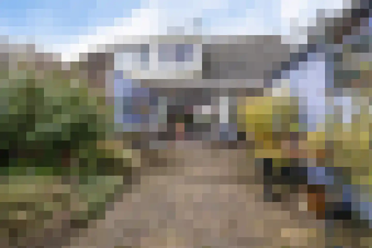 Oosterse Es 41 Appelscha thumbnail 40