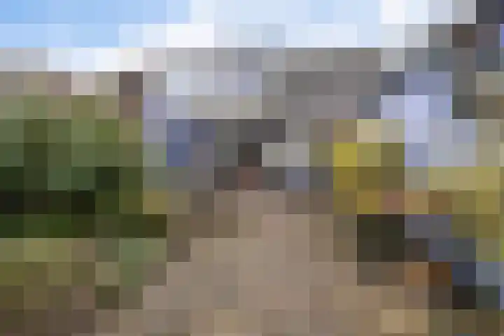 Oosterse Es 41 Appelscha thumbnail 40