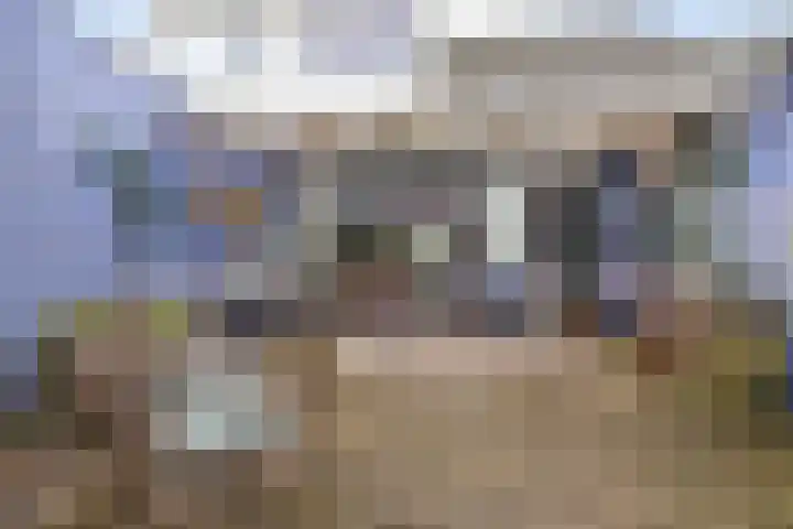 Oosterse Es 41 Appelscha thumbnail 41