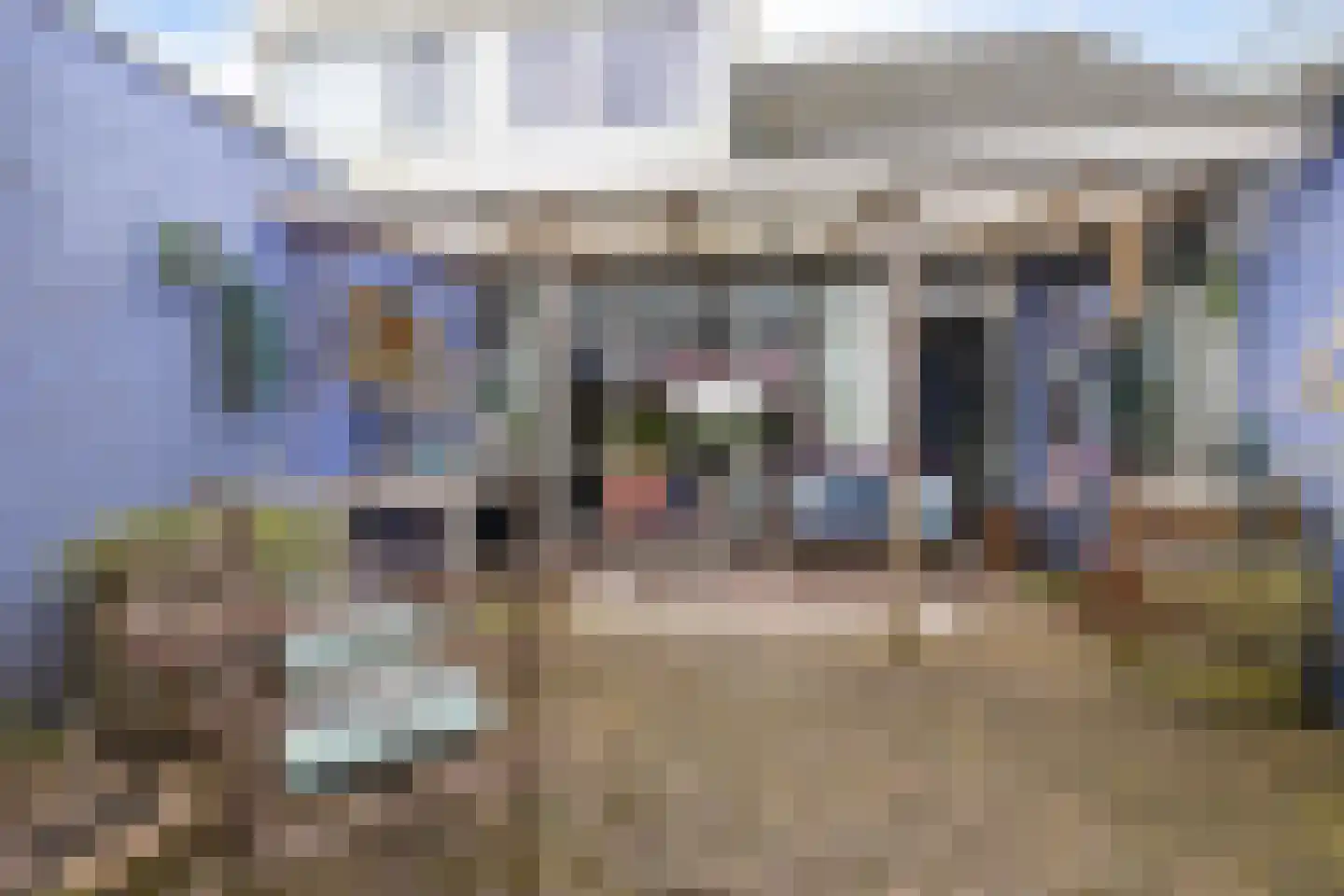 Oosterse Es 41 Appelscha thumbnail 41