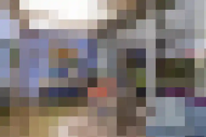 Oosterse Es 41 Appelscha thumbnail 42