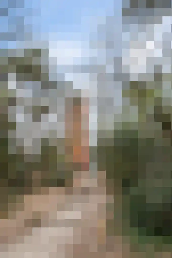 Oosterse Es 41 Appelscha thumbnail 45