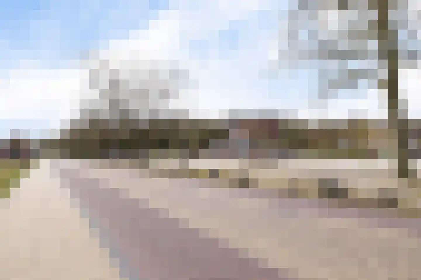 Oosterse Es 41 Appelscha thumbnail 46