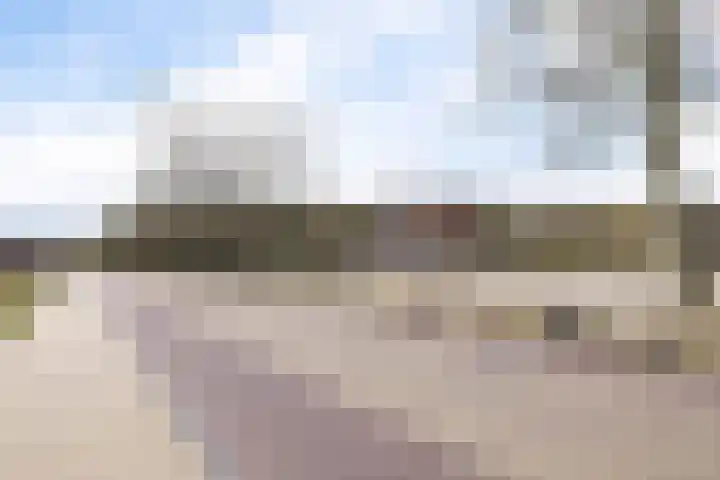 Oosterse Es 41 Appelscha thumbnail 46