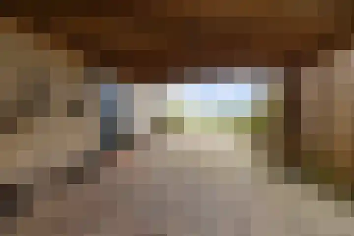 Oosterse Es 41 Appelscha thumbnail 5