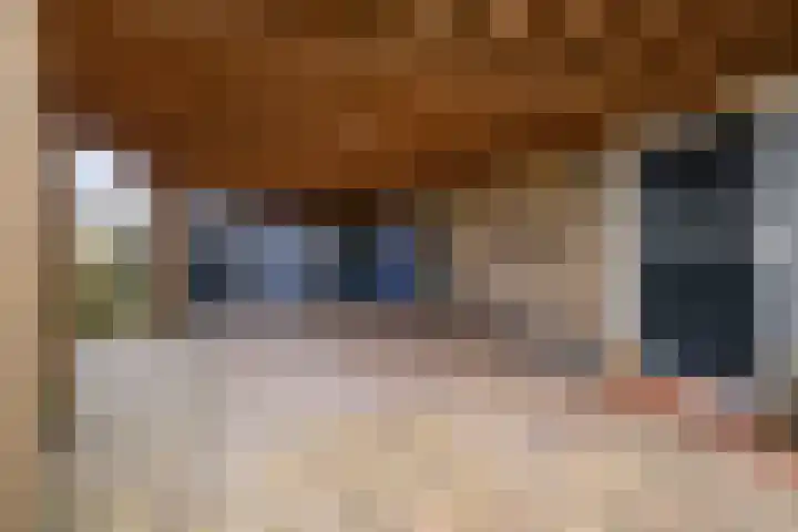 Oosterse Es 41 Appelscha thumbnail 6