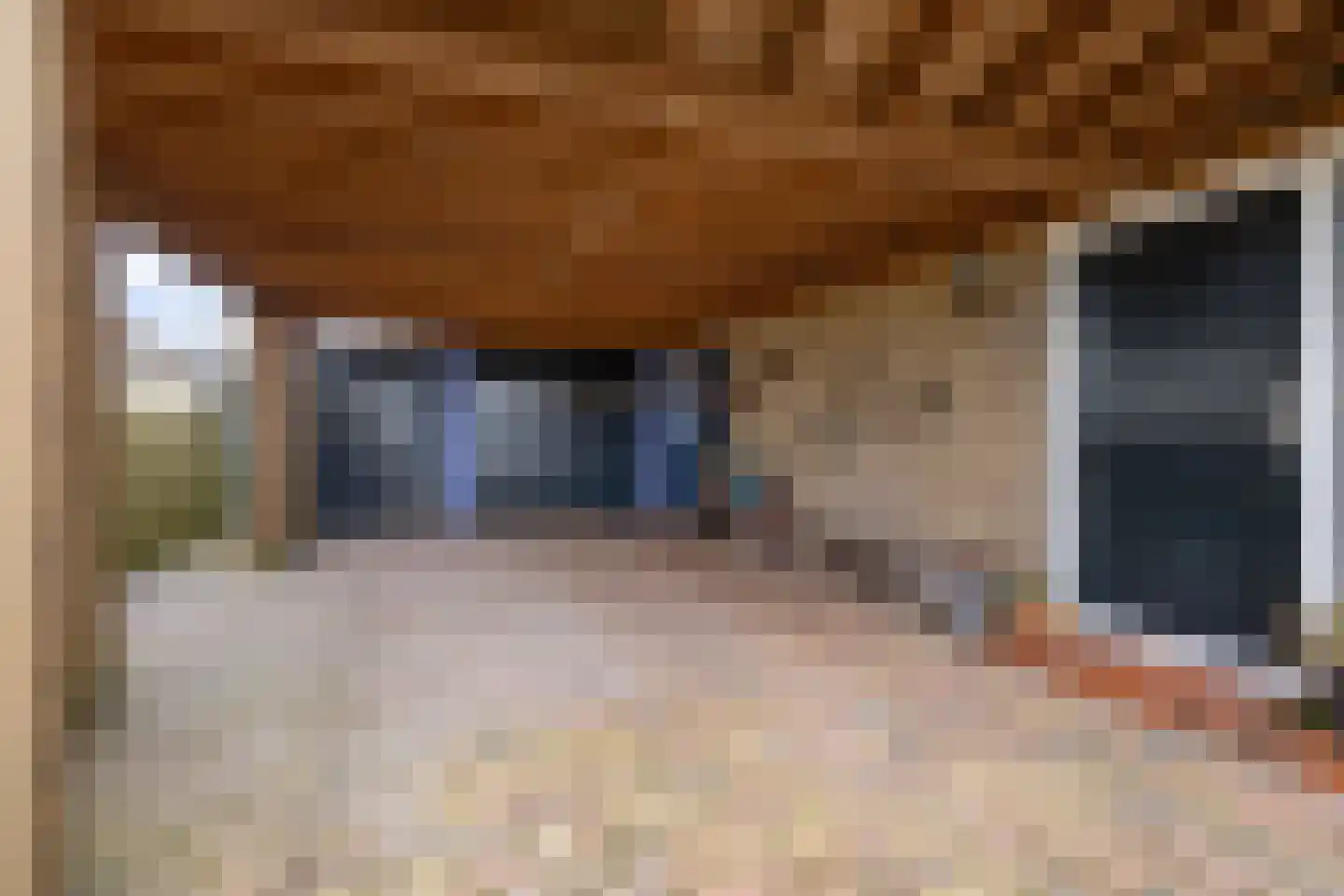 Oosterse Es 41 Appelscha thumbnail 6