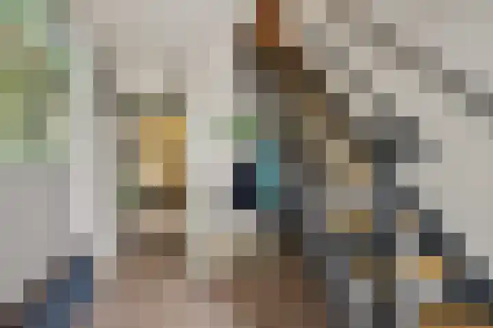 Oosterse Es 41 Appelscha thumbnail 8