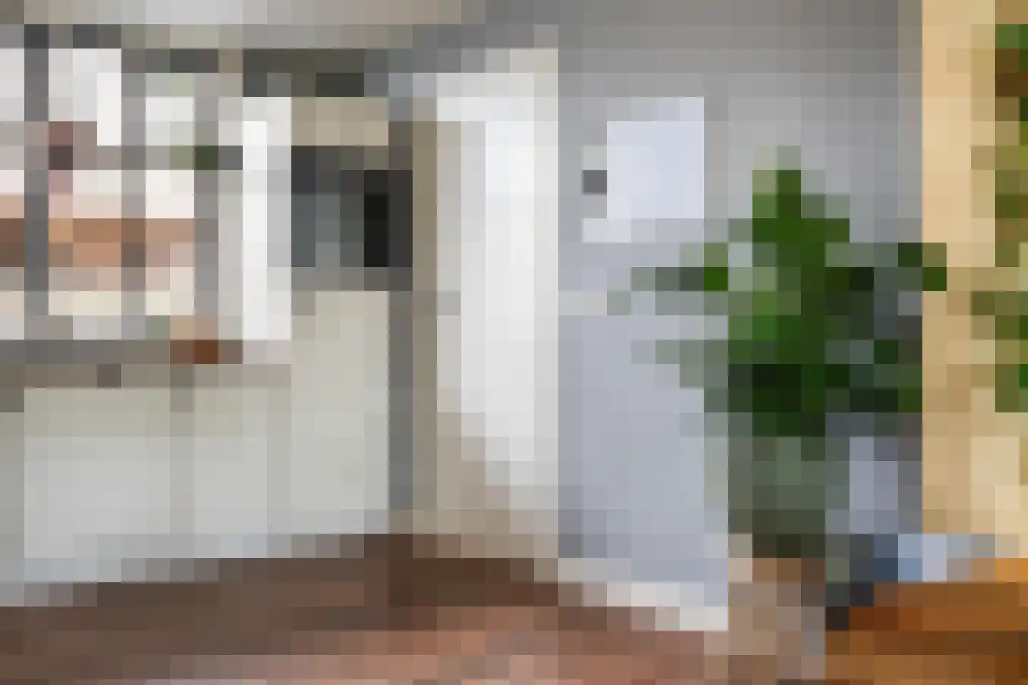 Oosterse Es 45 Appelscha thumbnail 11