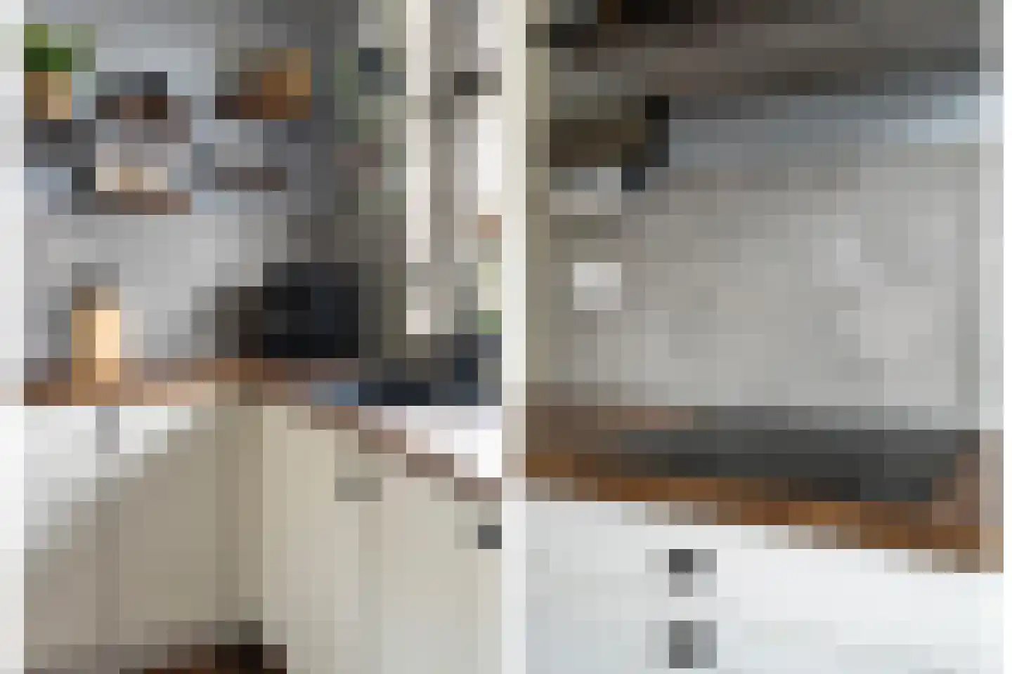 Oosterse Es 45 Appelscha thumbnail 12