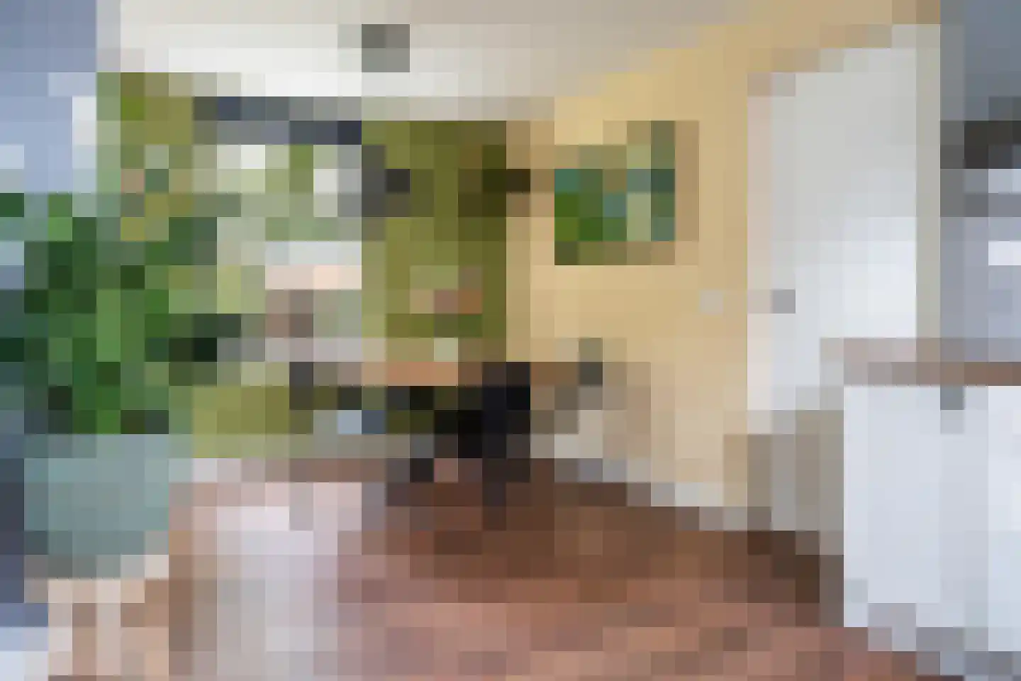 Oosterse Es 45 Appelscha thumbnail 13
