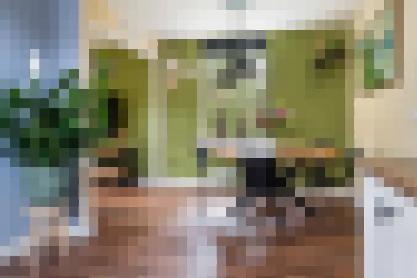 Oosterse Es 45 Appelscha thumbnail 14