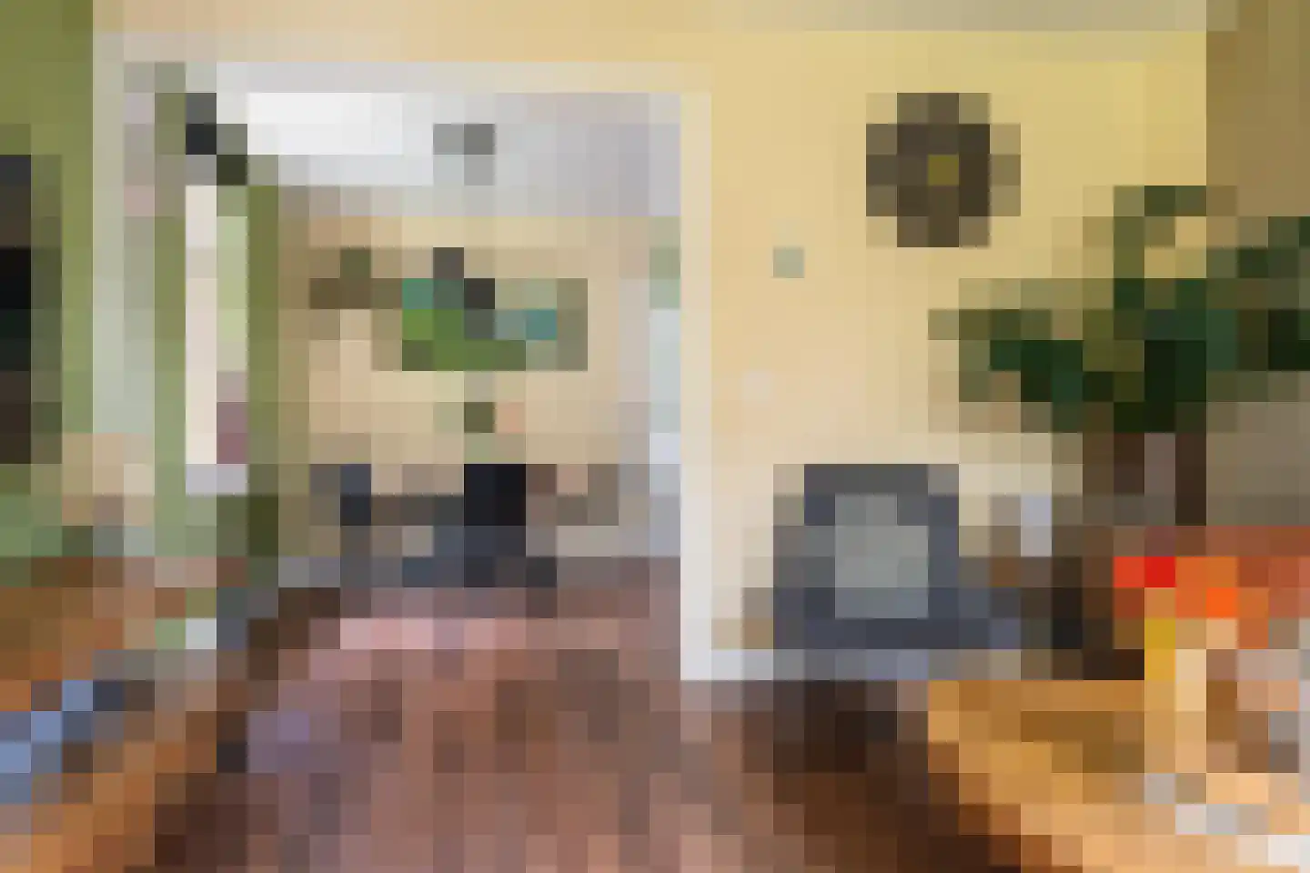 Oosterse Es 45 Appelscha thumbnail 18