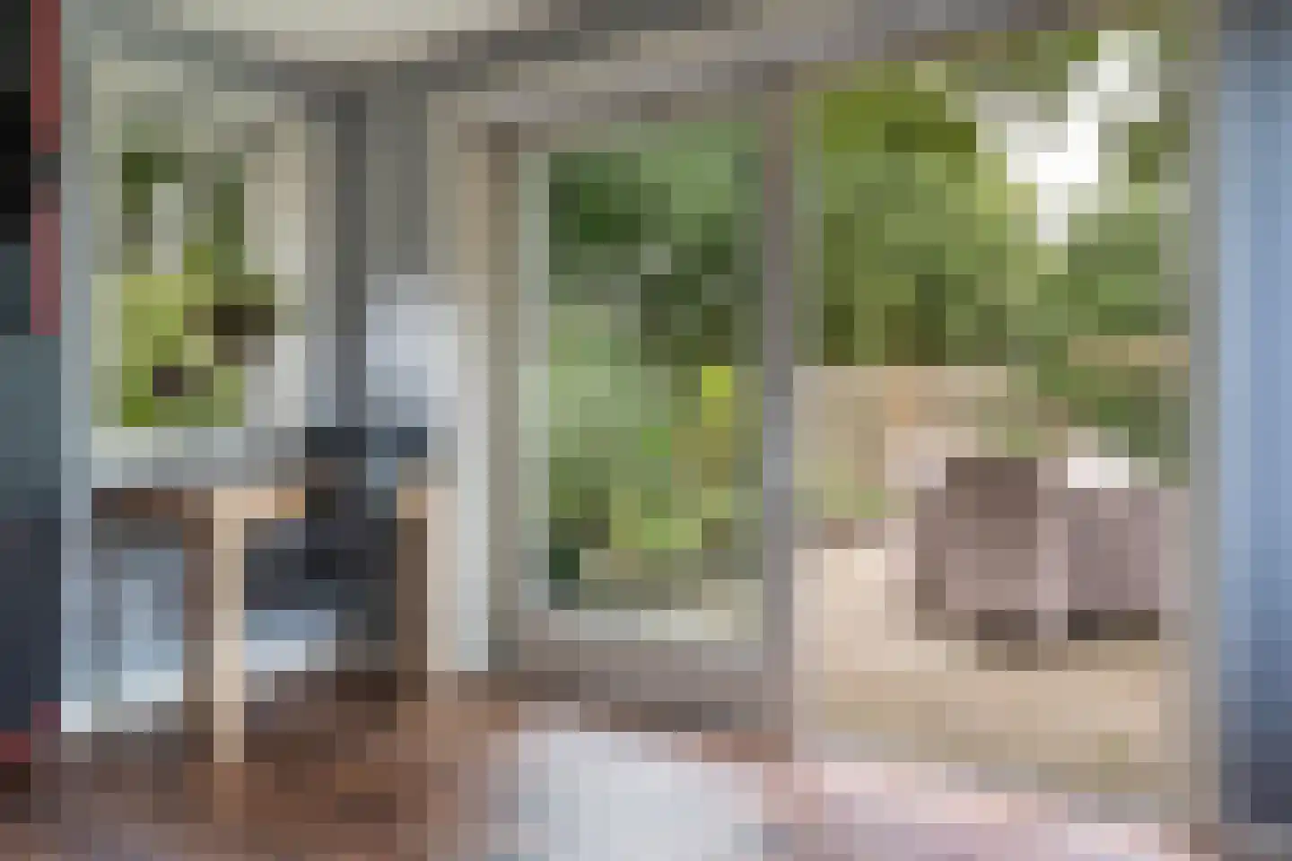 Oosterse Es 45 Appelscha thumbnail 20