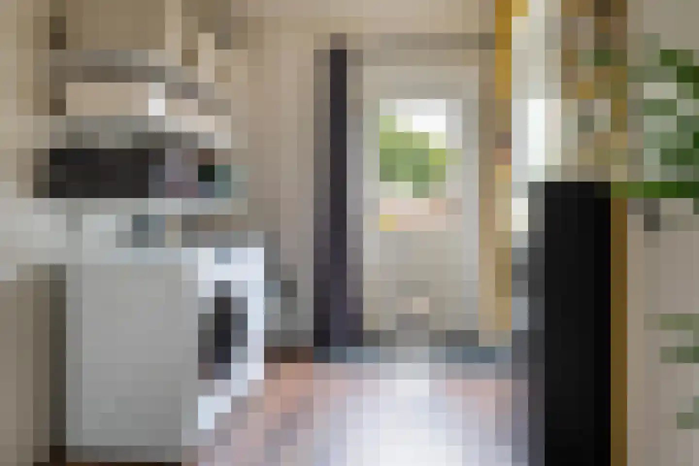 Oosterse Es 45 Appelscha thumbnail 22