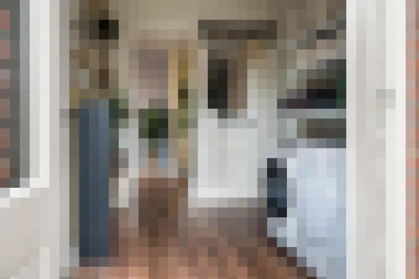 Oosterse Es 45 Appelscha thumbnail 23