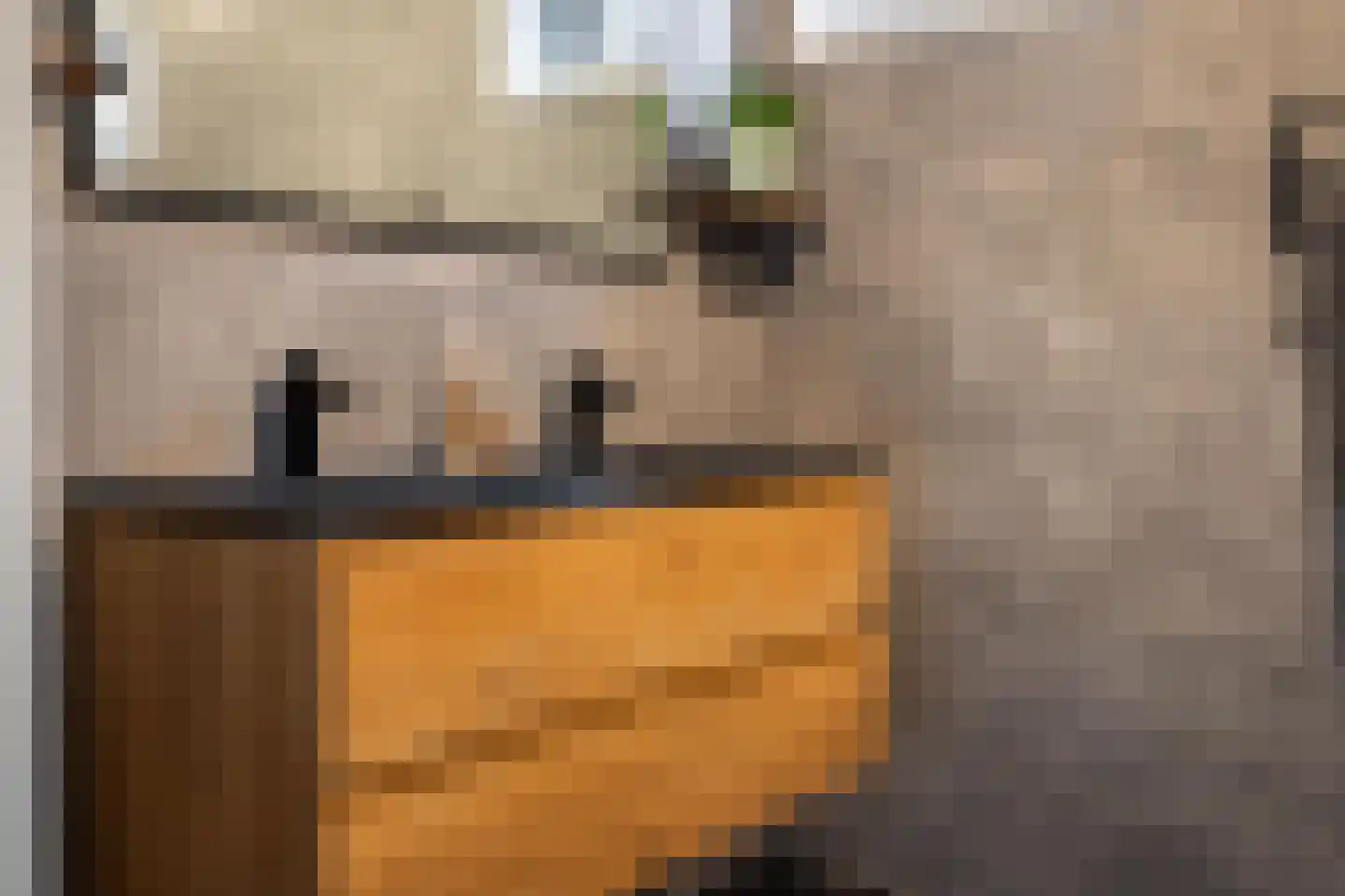 Oosterse Es 45 Appelscha thumbnail 24