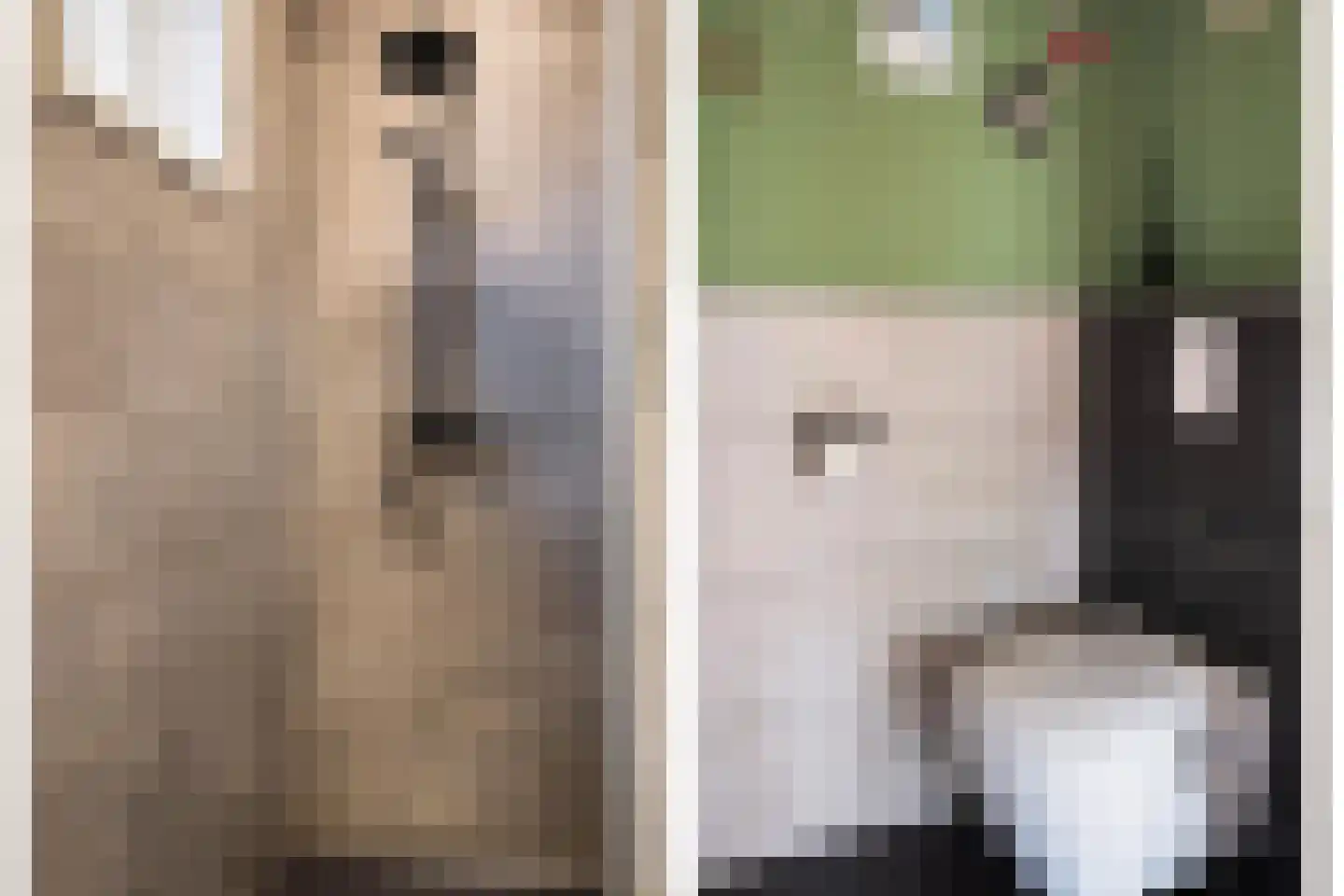 Oosterse Es 45 Appelscha thumbnail 26