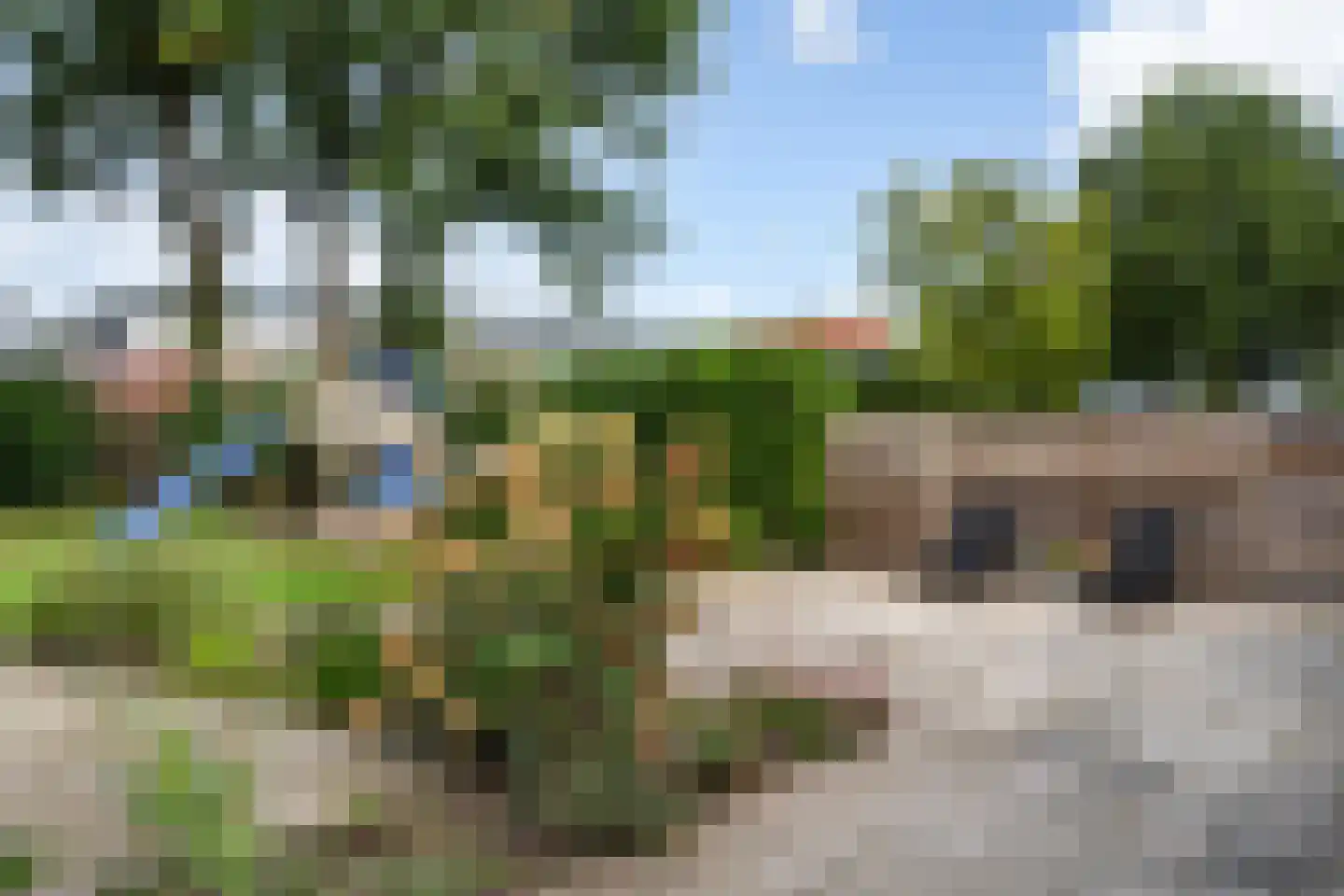 Oosterse Es 45 Appelscha thumbnail 37