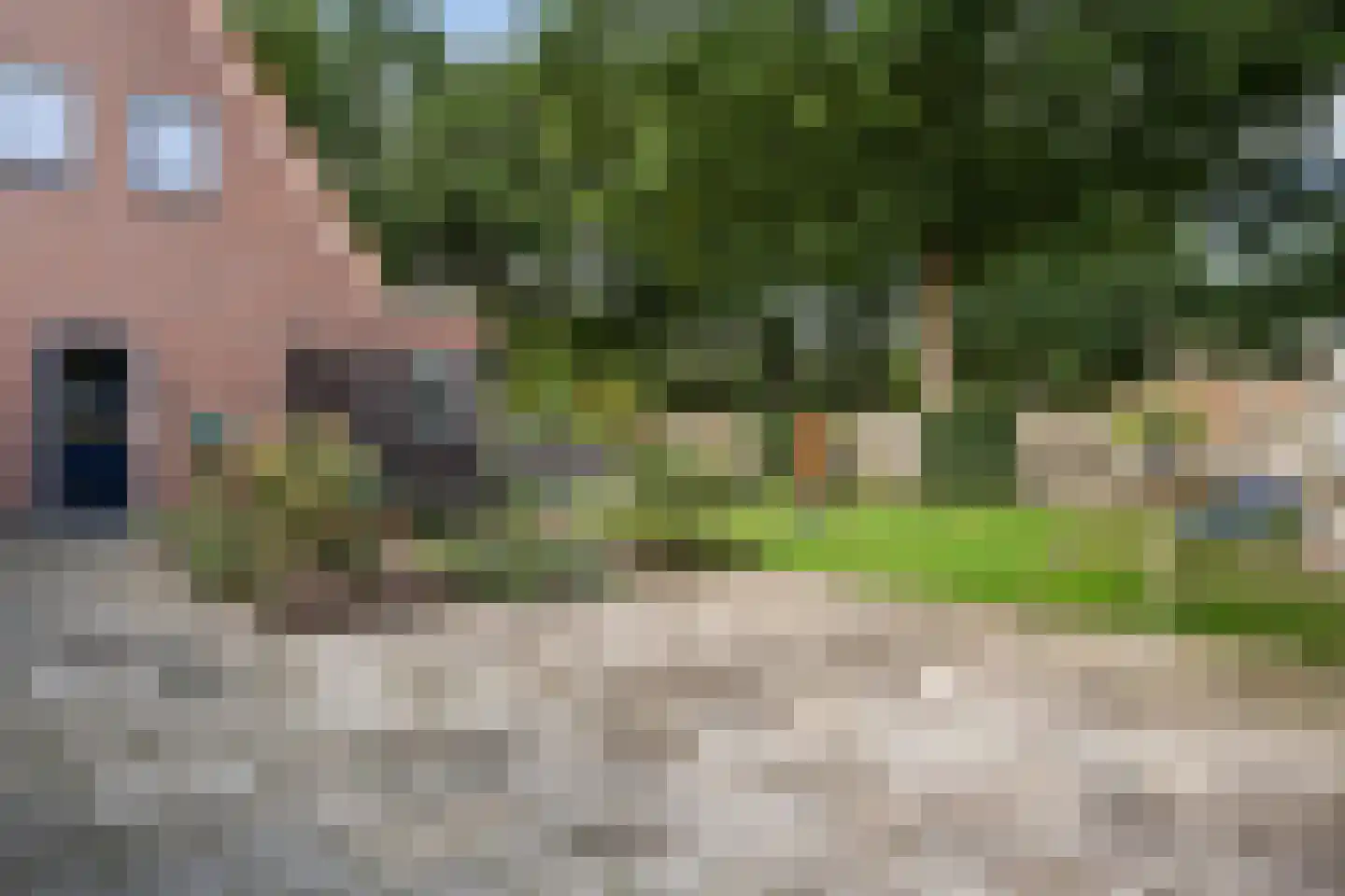 Oosterse Es 45 Appelscha thumbnail 38