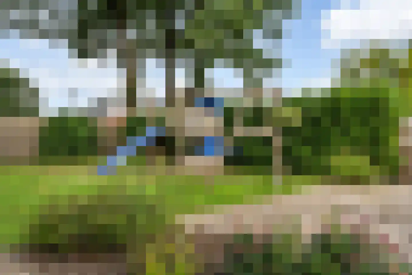 Oosterse Es 45 Appelscha thumbnail 39