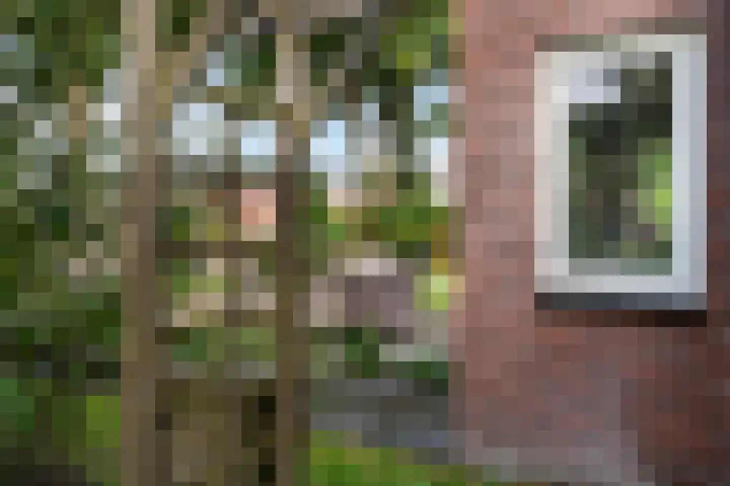 Oosterse Es 45 Appelscha thumbnail 44