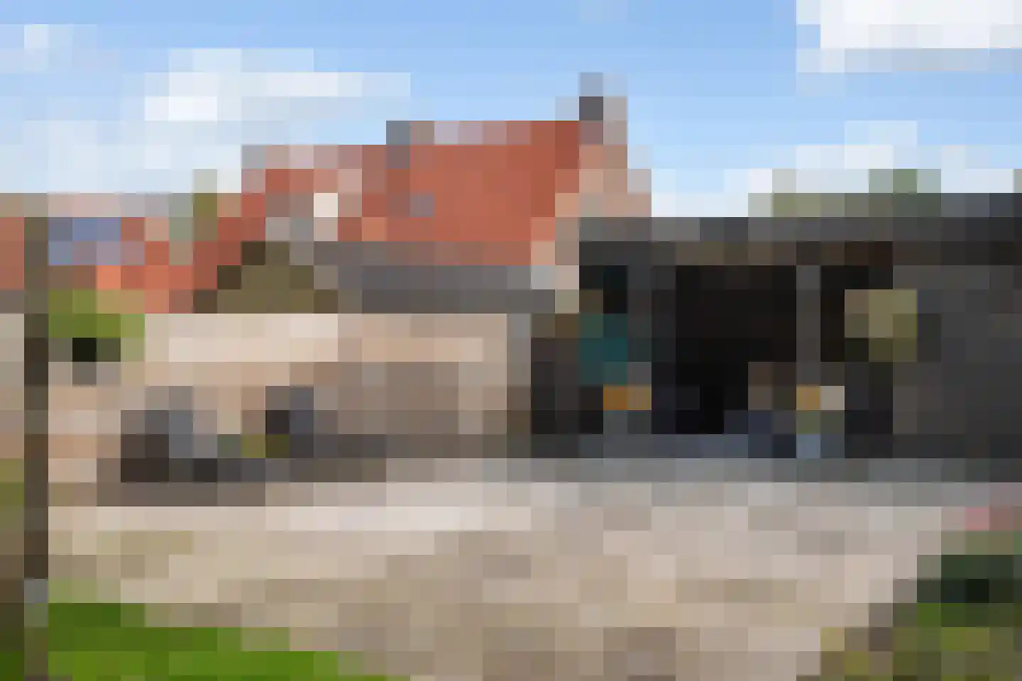 Oosterse Es 45 Appelscha thumbnail 45